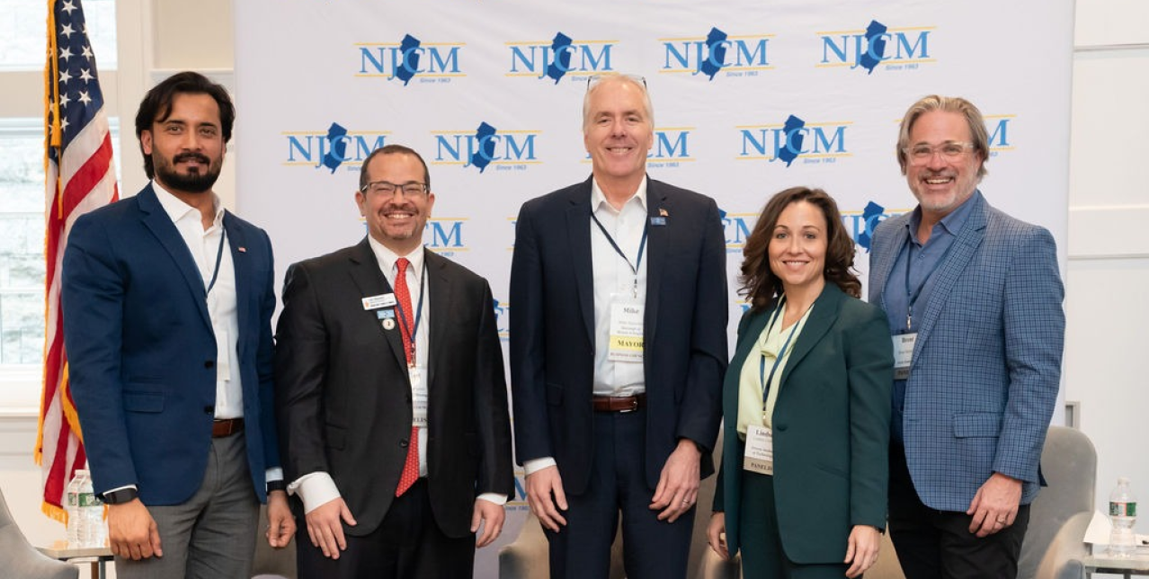 AI-in-Local-Government